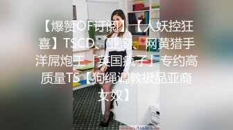 【爆赞OF订阅】【人妖控狂喜】TSCD、亚裔、网黄猎手洋屌炮王「英国疯子」专约高质量TS【狗绳调教极品亚裔女奴】