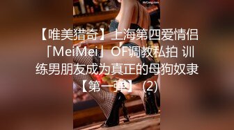 【唯美猎奇】上海第四爱情侣「MeiMei」OF调教私拍 训练男朋友成为真正的母狗奴隶【第一弹】 (2)