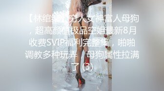 【林绾绾】穷人女神富人母狗，超高颜值极品空姐最新8月收费SVIP福利完整集，啪啪调教多种玩弄，母狗属性拉满了 (3)