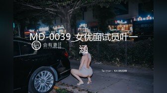 MD-0039_女优面试员叶一涵