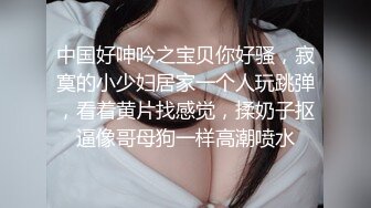 中国好呻吟之宝贝你好骚，寂寞的小少妇居家一个人玩跳弹，看着黄片找感觉，揉奶子抠逼像哥母狗一样高潮喷水