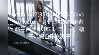 dph-082(33dph00082)[avscollector’s]非日常的悶絶遊戯生保セールスレディー、凛子の場合藤咲凛子