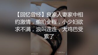 【回忆曾经】良家人妻家中相约激情，偷拍全程，小少妇欲求不满，浪叫连连，大鸡巴受累了