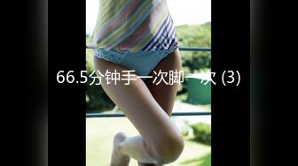 66.5分钟手一次脚一次 (3)