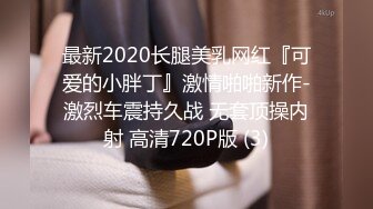 最新2020长腿美乳网红『可爱的小胖丁』激情啪啪新作-激烈车震持久战 无套顶操内射 高清720P版 (3)