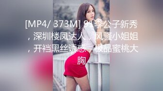 [MP4/ 373M] 91李公子新秀，深圳楼凤达人，风骚小姐姐，开裆黑丝诱惑，极品蜜桃大胸