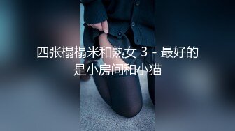 四张榻榻米和熟女 3 - 最好的是小房间和小猫