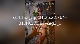 o111na_vip-01.26.22.764-01.49.37.307-seg3_1