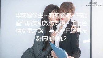 华裔留学生～莉莉安娜～高颜值气质美妞效仿刘玥～走上色情女星之路～与大鸡巴洋男友激情啪啪啪2