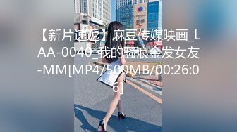 【新片速遞】麻豆传媒映画_LAA-0040_我的骚浪金发女友-MM[MP4/500MB/00:26:06]