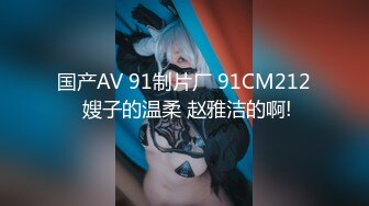 国产AV 91制片厂 91CM212 嫂子的温柔 赵雅洁的啊!