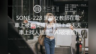 SONE-228 黑絲女教師在電車上被癡漢搞到高潮上癮天天車上找人插還...(AI破壞版)