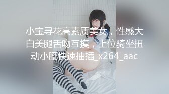 小宝寻花高素质美女，性感大白美腿舌吻互摸，上位骑坐扭动小腰快速抽插_x264_aac