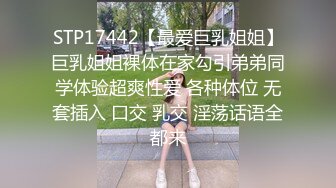 STP17442【最爱巨乳姐姐】巨乳姐姐裸体在家勾引弟弟同学体验超爽性爱 各种体位 无套插入 口交 乳交 淫荡话语全都来