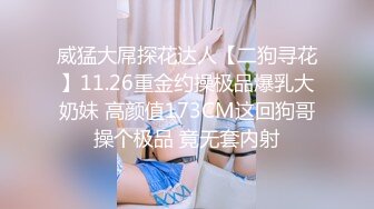 威猛大屌探花达人【二狗寻花】11.26重金约操极品爆乳大奶妹 高颜值173CM这回狗哥操个极品 竟无套内射