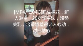 [MP4/ 1.04G]肥猫探花，新人泡良，20岁学生妹，翘臀美乳，含蓄娇羞得让人心动，对白精彩