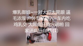 爆乳御姐~一对大灯太晃眼 逼毛浓厚 户外勾搭路人~车内吃鸡乳交 大屌疯狂插穴啪啪 回家还疯狂自慰 (1)